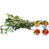 Plantas verdes, Osmanto, Plántulas de Osmanto Dorado, Plantones de Ocho Flores, Plántulas Fáciles de Cultivar, Plántulas Nativas para el Día del Árbol, Tipo de Fragancia Fuerte