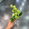 Lila, Estrella de Floración Nocturna, Adornos de Piso para el Hogar, Flores Artificiales Decorativas, Fotografía de Exhibición Comercial, Arreglo Floral, Flores de Seda