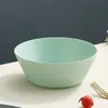 Tigela de Salada com Padrão Vertical Amazon Tigela de Palha de Trigo Tigela de Plástico Colorida Tigela Doméstica Japonesa para Sobremesa Lanches de Frutas