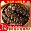 Pacotes Pequenos Foram Enviados para Pepino-do-Mar de Dalian e Pepino-do-Mar de Liao Pepino-do-Mar Pronto para Comer Produtos Aquáticos Frescos 500G/Caixa 10-12 Peças