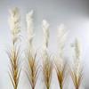 Cabeza de pasto de caña real de un solo tallo hojas falsas boda flores artificiales manojo de pasto cebolla plantas artificiales vegetación falsa paisajismo