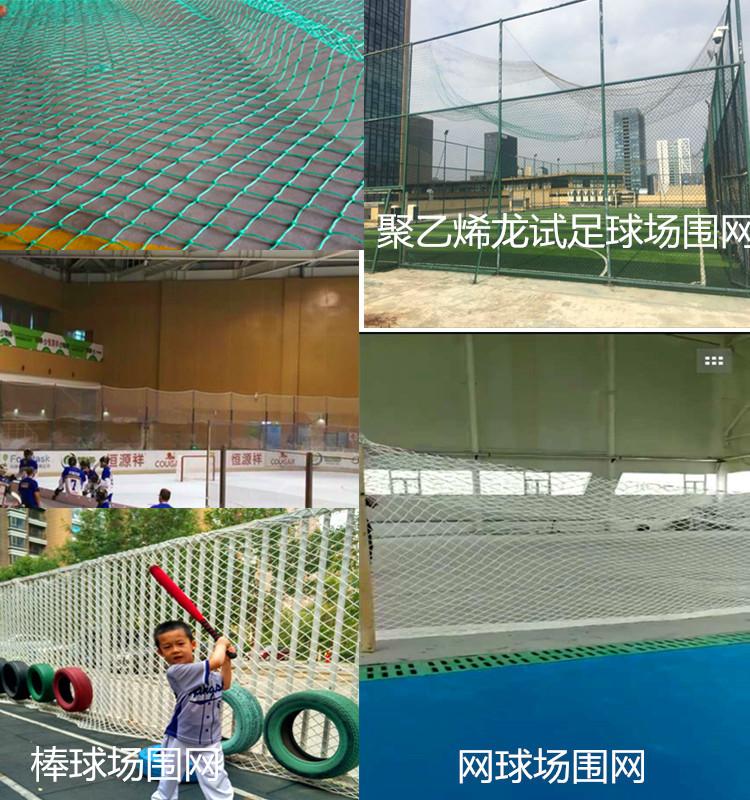详情12