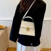 Bolso de Mano de Lujo Ligero Transfronterizo 2026 Nueva Moda Bolso de Hombro Texturizado Bolso Cruzado de Moda Bolso Cuadrado Pequeño de Gama Alta de Nicho