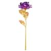 Color Oro de 24 Quilates Lámina de Rosa Clavel Día de San Valentín Día de la Madre Festival Qixi Luminosa Simulación Flor Conservada