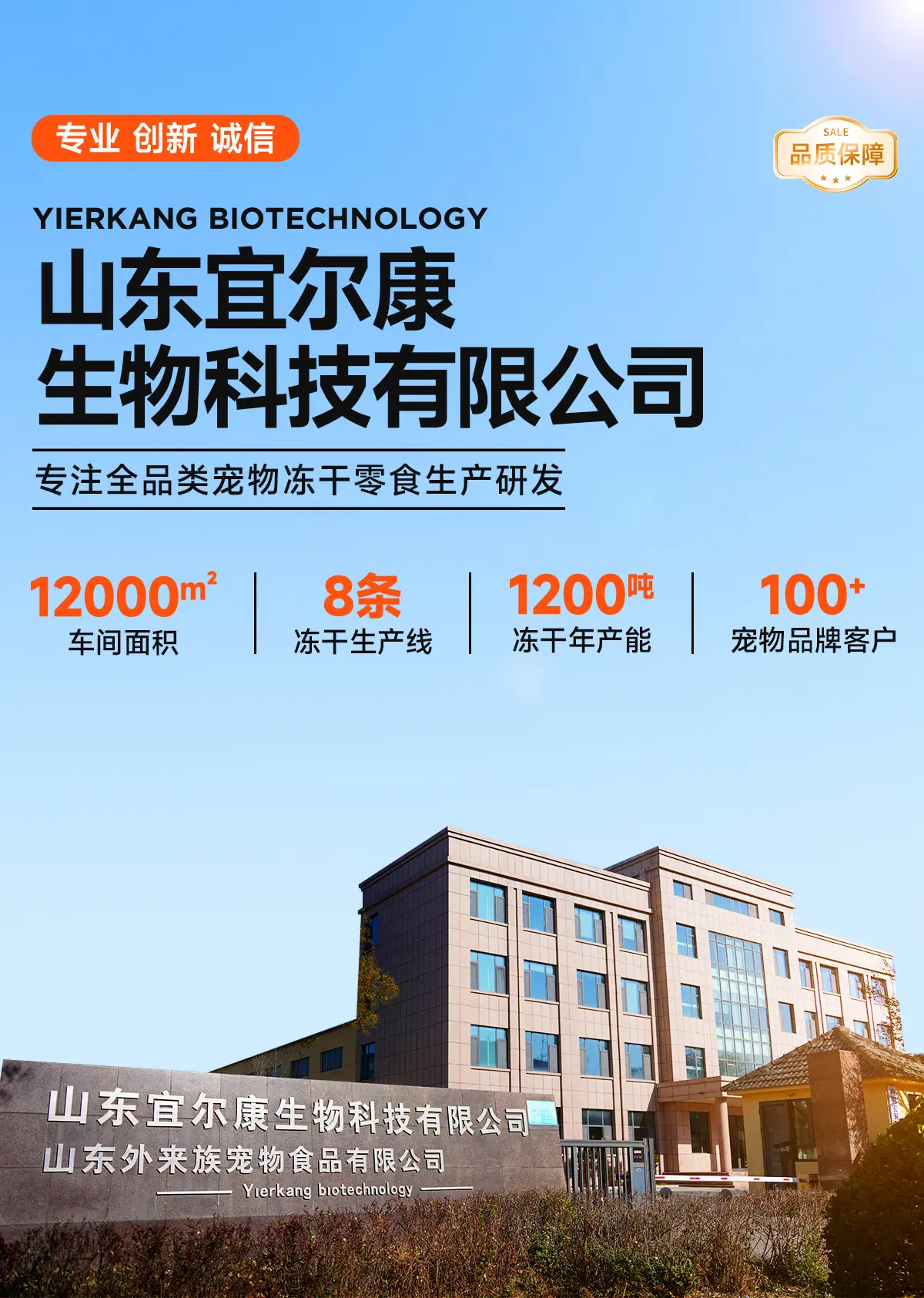 乌龟_01.jpg