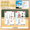 Kit de Experimentos de Ciencias de Cuarto Grado Unidad 2 Respiración y Digestión Diagrama Hecho a Mano de Órganos Humanos Pulmones Respiración