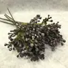 Algas Pinus de Fruta Coral Sul-Africana Simulada Coral Pequeno Plantio de Cabelo Paisagismo Decorativo Flor de Varanda para Arranjo com Frutas