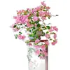 Plántulas de Buganvilia en Maceta con Flores, Plántulas Extra Grandes, Sakura Zhanghong, Interior Balcón, Floración Multitemporada, Enredadera de Alto Nivel