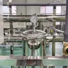 Filtro de Água de Circulação Purificador de Água Uso Industrial 2 Toneladas Grau Potável Osmose Reversa Tratamento de Água Equipamento de Água Purificada
