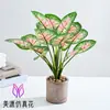 Flores Artificiais Diretamente do Fabricante, Pequenos Bonsais, Decorações Criativas para Interiores, Plantas Verdes Artificiais, Plantas Artificiais em Vasos da Amazon