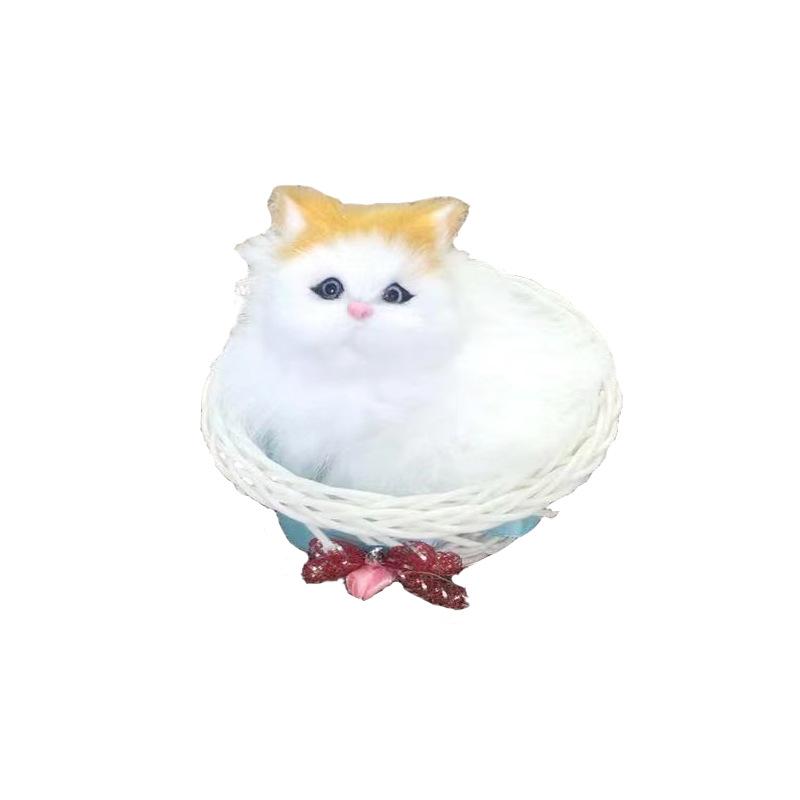 小圆框兔子和猫，和叫猫