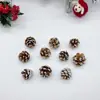 Pinhas Secas Naturais Materiais de Decoração para Árvore de Natal Fotografia de Bolos e Sobremesas Adereços para Fotografia de Buquês Florais Baoshi
