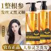 Shampoo Líquido com Extrato de Ginseng Shampoo com Extrato de Zezhi Refrescante Hidratante Fragrância Elegante Hidratante Hidratante Deusa