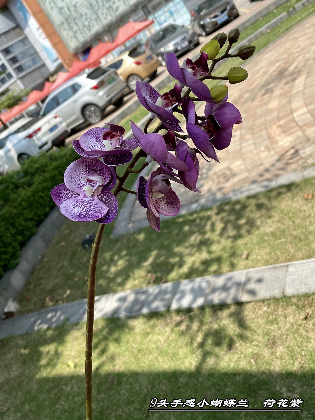 微信图片_20210724103043_副本.jpg