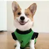 Capa Roupa de animal de estimação Transfronteiriça Super-herói Cachorro Moletom para animal de estimação Pelúcia Bordada Roupas para cachorro
