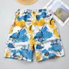 Calças de praia masculinas de verão Shorts Calças masculinas de cinco pontos plus size Calças casuais grandes calças de secagem rápida