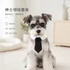 Conjunto de Gravata e Óculos de Pet Cavalheiro, Acessórios para Cães Pequenos e Gatos, Adereços Fofos para Fotos de Pets, Em Estoque