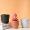 Maceta creativa de plástico no poroso para jardinería, paisajismo, maceta carnosa, personalizada, de tamaño pequeño, para balcón, con boca redonda.