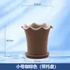 Maceta Lusur, Maceta de Plástico para Bonsái Rábano Verde, Maceta Creativa para Balcón para Cultivar Verduras y Plantas Suculentas, Maceta de Plástico Engrosada