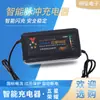 Carregador de Bateria Chumbo-Ácido Five Star Glory, Display de Seis Luzes para Nível de Potência, Carregador de Veículo Elétrico 24V48V60V72V