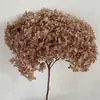 Flor Eterna Folha Pequena Hortênsia Anna Flor Seca Flor Real Estilo Escandinavo Props para Fotos Ins Buquê de Casamento Pronto Decoração