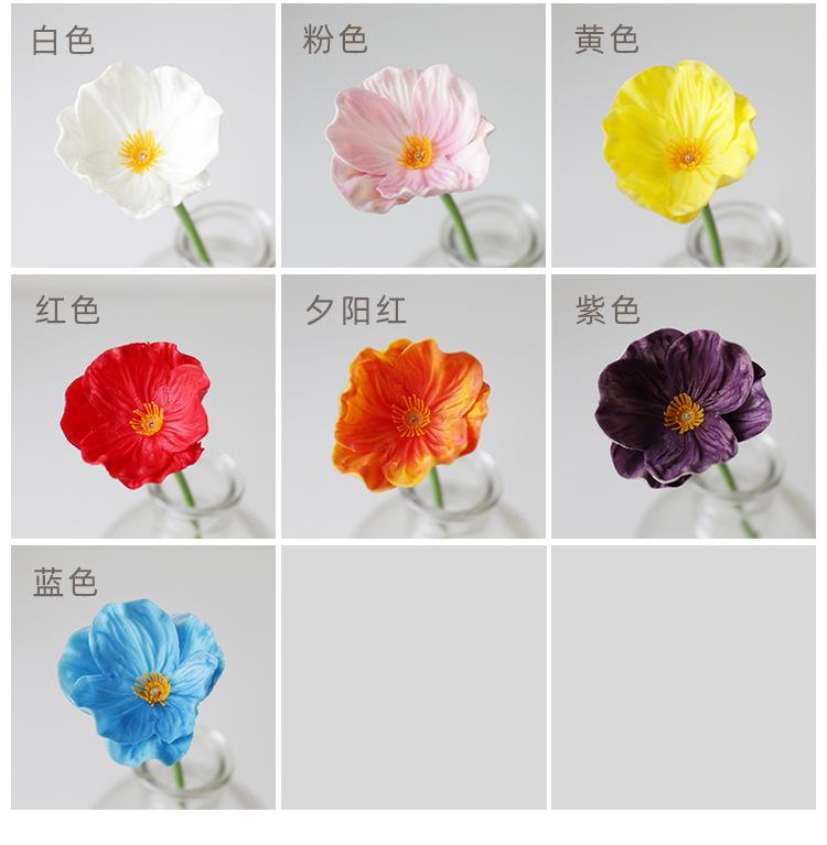 罂粟_03.jpg