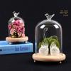 Micro-paisagem Flor Eterna Vidro Transparente Base de Madeira Maciça Tampa de Vidro Tampa de Poeira Presente de Saída de Fábrica