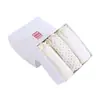Ropa Interior de Algodón para Niñas, Calzones Triángulo que No Pellizcan el Trasero, Caja de Tres, Aprobado por los Padres, Pantalones de Pan para Niñas, Clase a