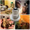 Lámpara de Calor para Cría de Pollitos, Lámpara Calefactora Especial para Codornices, Lámpara de Control de Temperatura para Calefacción de Caja de Cría de Mascotas, Bombilla de Luz para Granja