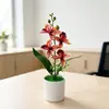 Nº 204 Vaso 4 Flores Cymbidium Bonsai Decoração de Mesa de Escritório Adereços Flores Artificiais Plantas em Vasos Simuladas Ornamentos Atacado Phalaenopsis