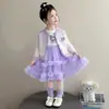 Vestido Infantil Outono 2026 Novo Vestido de Aniversário Infantil Saia de Tule Menina Bebê Primavera Outono Saia de Princesa