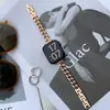 Adecuado para Apple Watch 7/SE/6/5 estilo pequeño fragante cadena de mezclilla de una sola fila correa de metal fina de 14 mm