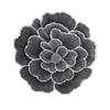 Elemento de Primavera Patrón de Flores PVC Estampado en Caliente Mantel Aislante de Escritorio Estilo Ins de Gama Alta Mantel Decorativo de Escritorio Mantel de Mesa Mantel para Tazones