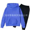 Conjunto de Moletom com Forro de Lã para Meninos e Meninas Outono e Inverno Conjunto de Duas Peças com Capuz Calça de Moletom de Manga Longa para Crianças