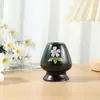 Estilo té Estilo japonés Baibenli Cepillo para té Matcha Herramienta para Matcha Estilo té Dinastía Song Juego de caja de regalo para pedido de té Tazón para Matcha