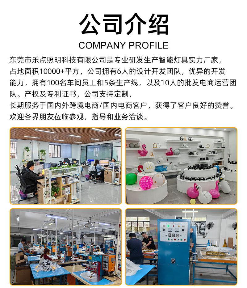 公司实力-2_01.jpg
