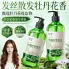 Bai Zhen Tang Champú de Hoja de Ciprés Limpieza Profunda Refrescante Suavizante Hidratante Fragancia Duradera Acondicionador