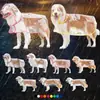 Mascota Amazon Transfronterizo Perro Grande Transparente Impermeable para Perro al Aire Libre Golden Retriever Labrador Ropa para Perros Grandes