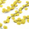 Acácia Flor Seca Em Relevo Gota De Cola Capa De Telefone Móvel DIY Mosaico Verdadeiro Material De Amostra Pacote Planta Espécime