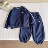 Nausicaa del Valle del Viento 2025 Nuevo Otoño Niños Estilo Coreano Traje Deportivo Bordado de Cachorro para Niños Conjunto de Dos Piezas Holgado y Guapo