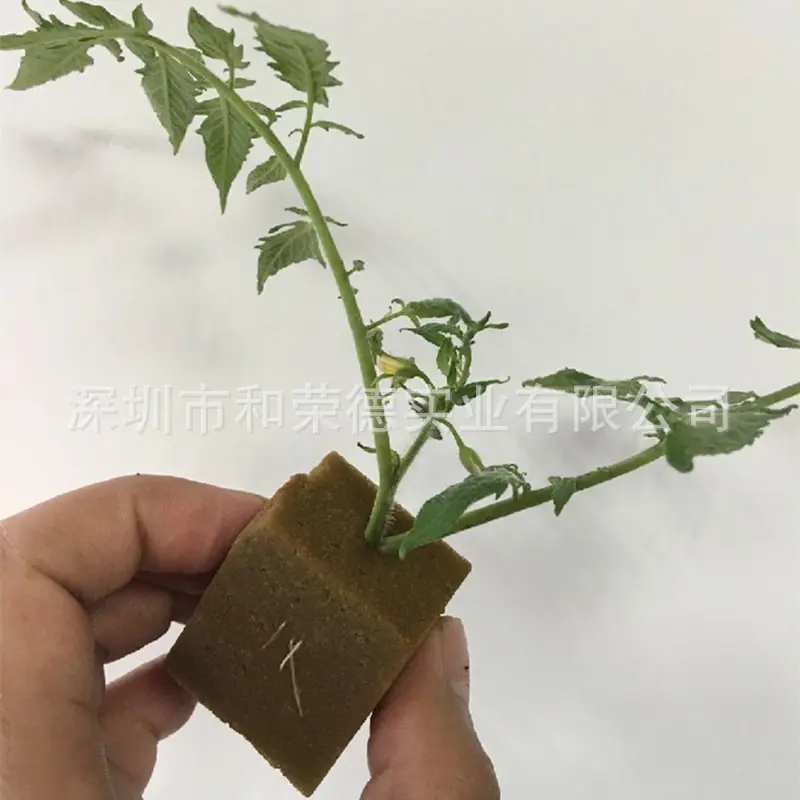 无土栽培阳台种菜基质