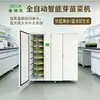 Máquina de Brotos, Equipamento Automático para Brotos com Irrigação, Máquina de Brotos Comercial, Agente de Germinação Inteligente, Alta Eficiência e Economia de Energia