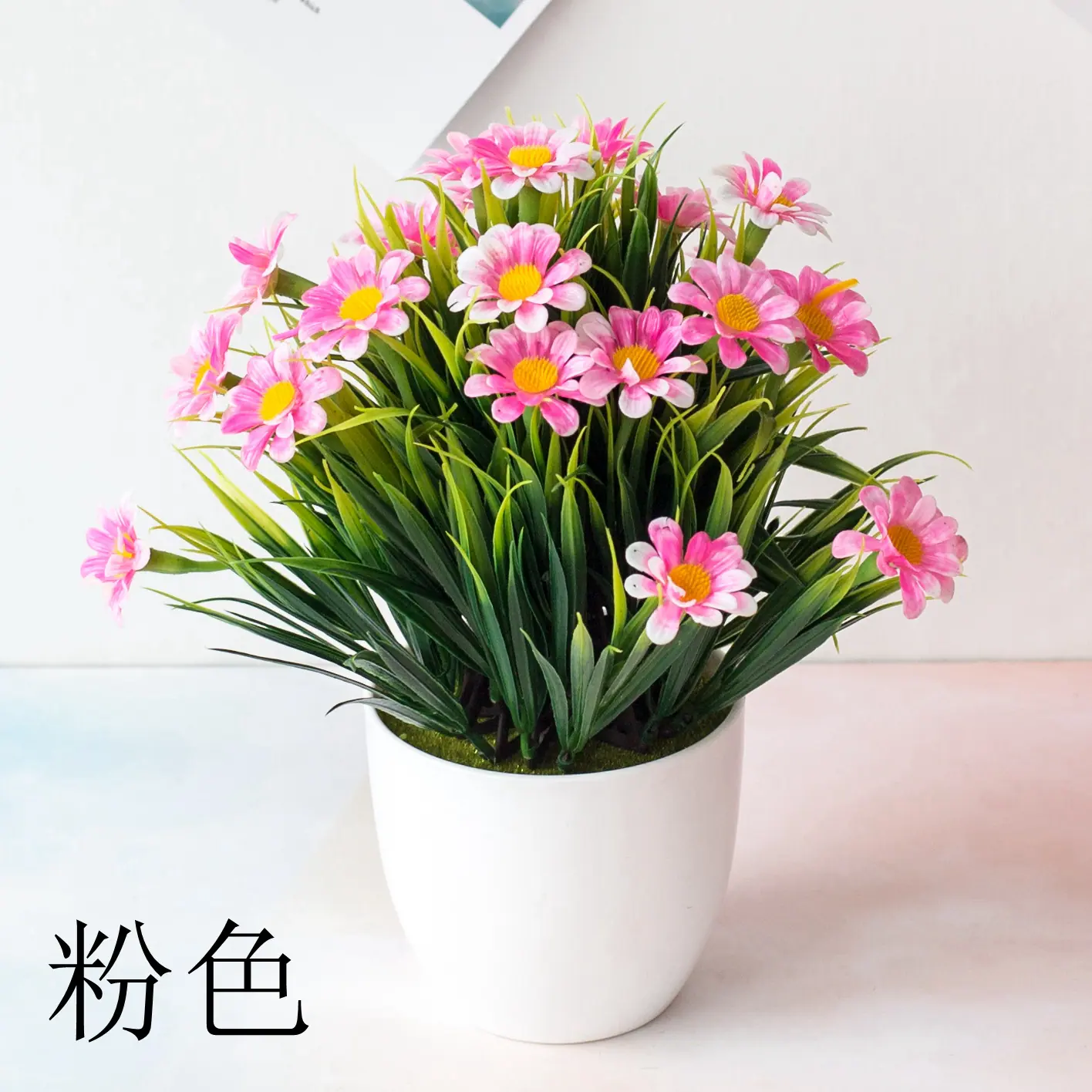 春草菊花
