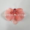 Cabezas de Flores de Orquídea Mariposa Simuladas y Pétalos Caja de Regalo Flores Falsas para Manualidades Decoración de Pasteles Accesorios para Decoración de Pasadores