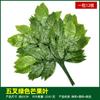 Simulación de hojas de baniano, hojas de arce rojo, hojas de ginkgo, ramas falsas, hojas de otoño, ingeniería, decoración, plantas verdes, paisajismo, venta al por mayor