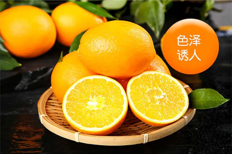 详情4