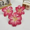 Cabezas de Flores de Lirio Simuladas, Decoraciones Hechas a Mano para Sala de Estar, Pasadores, Flores Artificiales, Flores de Seda, Accesorios para Bodas