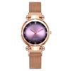 Nuevo Reloj Caliente para Mujer, Reloj de Mujer, Moda con Incrustaciones de Diamantes, Reloj de Cuarzo con Correa Milanesa Magnética de Hierro Perezoso, Reloj Magnético