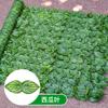 Valla de simulación, pared de plantas verdes, valla de plástico, techo exterior, balcón, embellecimiento, refugio, decoración, ratán transfronterizo