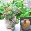 Vasos de Cerâmica de Mestre Oleiro Antigo com Abertura Larga, Vasos de Flores Multiuso, Vasos Extra-Grandes Estilo Penhasco, Vasos Extra-Grandes com Abertura Larga e Áspera